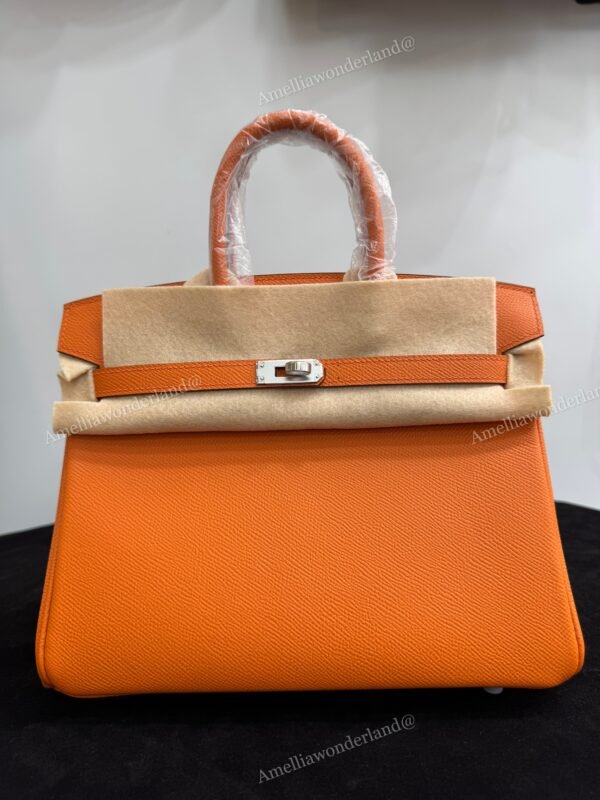 Birkin 25 Orange Espom Retourne Palladium
