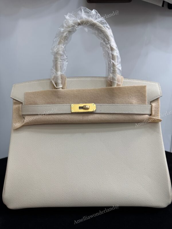 Birkin 30 Beton Espom Retourne Gold HW