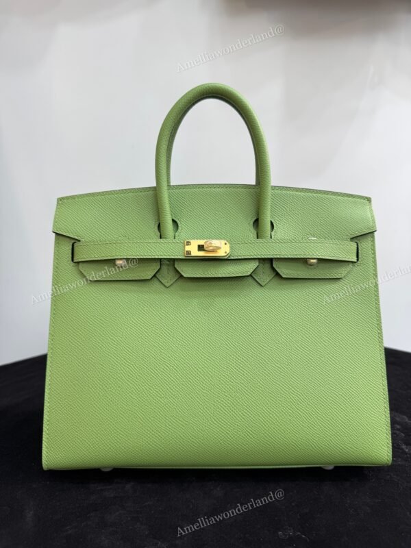 Birkin 25 Vert Criquet Espom Sellier Gold HW