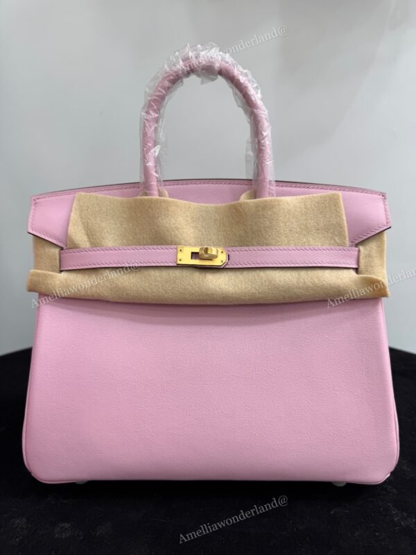 Birkin 25 Mauve Sylvestre Swift Gold HW