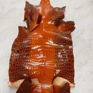 兴隆鳄鱼皮喜马拉雅系列 himalaya crocodile